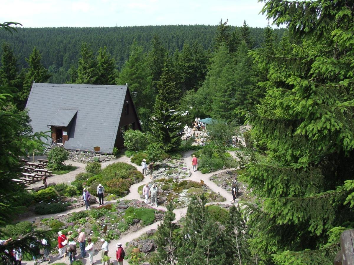 Konsum Gaestehaus Quisisana - Nebenhaus Des Konsum Berghotel Oberhof Oberhof  Ngoại thất bức ảnh